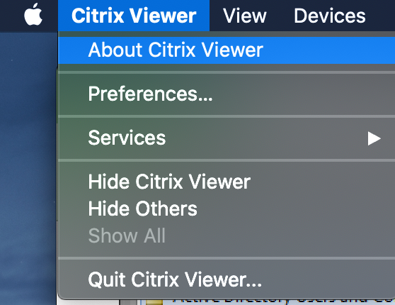 Technology Help and Information > Troubleshooting Connection Issues in CloudPC > Mac About Citrix Viewer.png