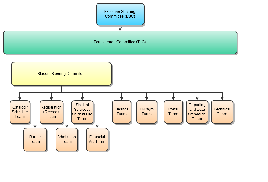 ERP Team Organization