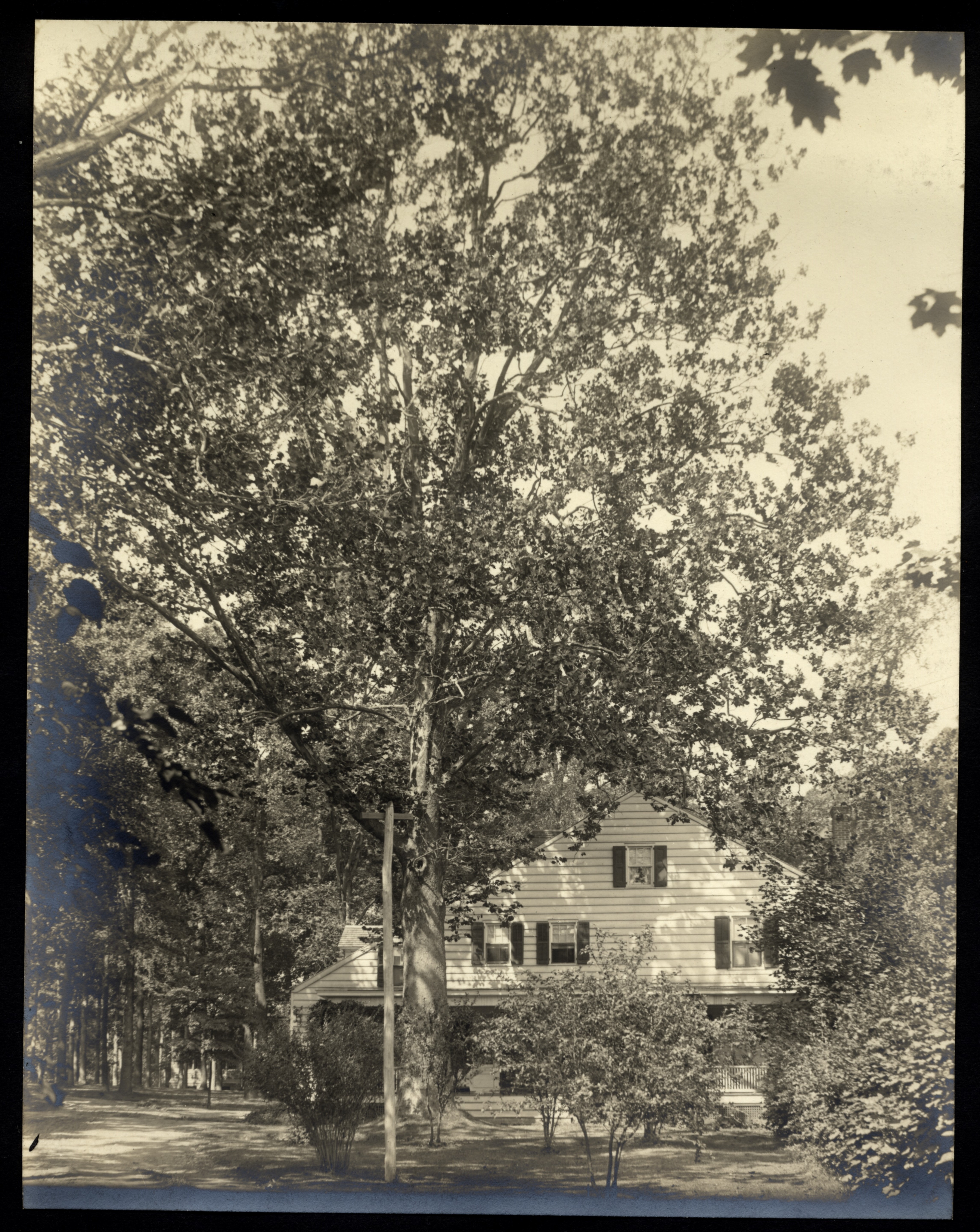 Sycamore Cottage pre-1938